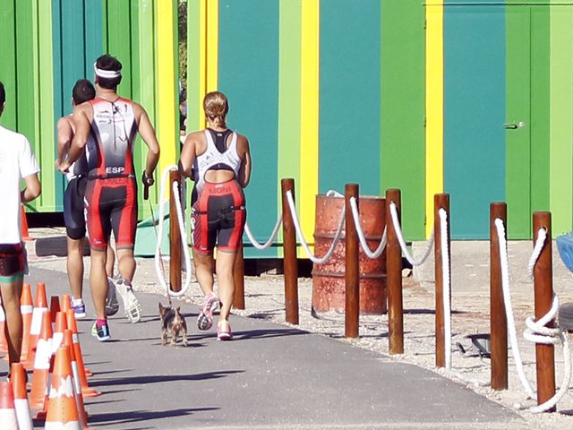 Club 3d Triatlón Madrid y entrenamiento de triatlón en el Triatlón de Valmayor