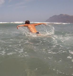 entrenamiento de triatlon en aguas abiertas, delfines