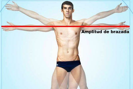 amplitud-de-brazada-entrenamiento-de-triatlon